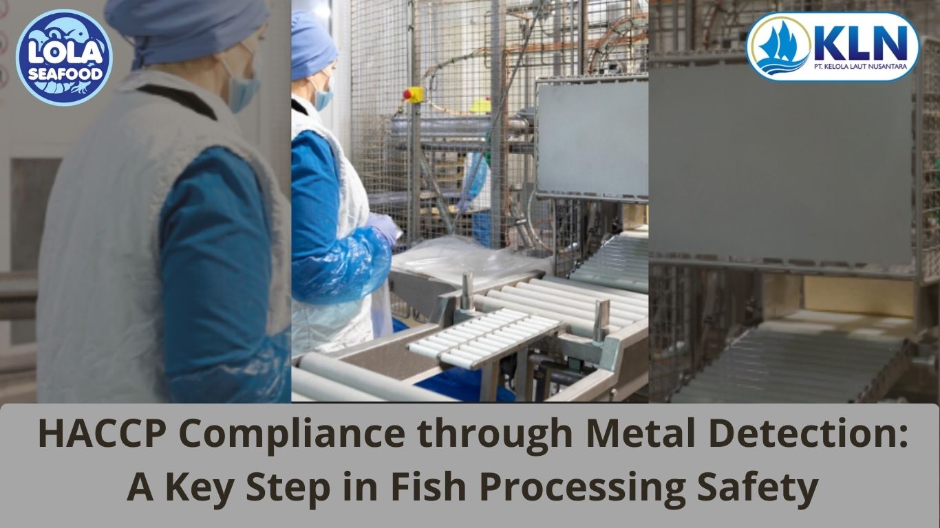HACCP Compliance through Metal Detection: A Key Step in Fish Processing Safety